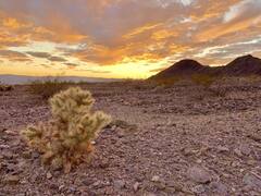 Highest Temperature: ਧਰਤੀ 'ਤੇ ਕਦੋਂ ਪਈ ਸੀ ਸਭ ਤੋਂ ਵਧ ਗਰਮੀ ? 50-55 ਡਿਗਰੀ ਤਾਪਮਾਨ ਤਾਂ ਕੁਝ ਨਹੀਂ, ਹੈਰਾਨ ਰਹਿ ਜਾਓਗੇ ਤੁਸੀਂ