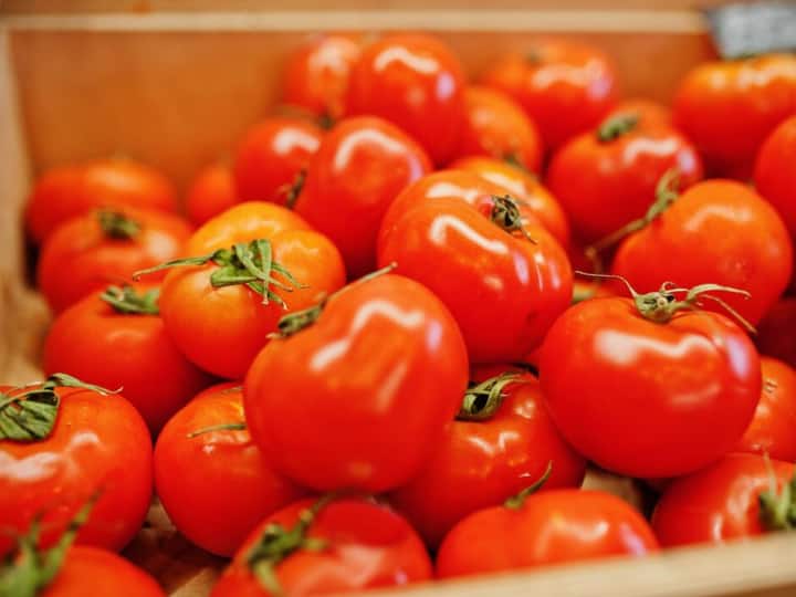 Dubai Daughter Send 10KG Tomato To Her Mother In India Viral News Hindi भारत में बढ़े दाम...तो मां ने दुबई से मंगाए 10 किलो टमाटर, बेटी ने सूटकेस में पैक करके भेजा