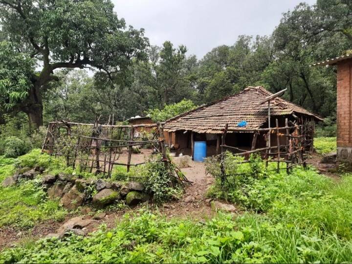 महाराष्ट्र के रायगढ़ जिले के एक आदिवासी गांव में पहाड़ गिरने से करीब 40 घर मलबे में दब गए हैं तो वहीं कुल 100 से अधिक लोग लापता हैं. महाराष्ट्र में बहुत ही भयंकर बारिश हो रही है.