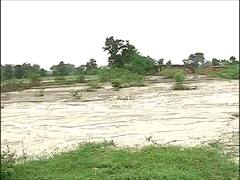 नागपुरात राखेचा बंधारा फुटला, राख आणि चिखल शेतात पसरल्याने शेतकऱ्यांचं मोठं नुकसान