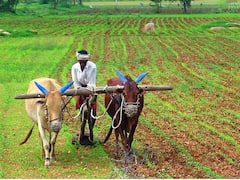 किसानों के लिए खुशखबरी, इस दिन जारी होगी पीएम किसान स्कीम की 14वीं किस्त, सरकार ने बता दी तारीख