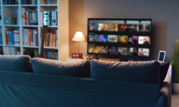 நெட்ஃபிளிக்ஸில் வருடம் மற்றும் மாதம் என பல்வேறு விதமான சந்தா திட்டங்களை பயன்படுத்தி, நெட்பிளிக்ஸில் வெளியாகும் வீடியோக்களை பயனாளர்கள் கண்டு ரசிக்கலாம்.