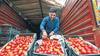 Tomato price: ਅੱਜ ਮਿਲੇਗਾ ਟਮਾਟਰ 70 ਰੁਪਏ ਪ੍ਰਤੀ ਕਿਲੋ, ਕੇਂਦਰ ਸਰਕਾਰ ਮਹਿੰਗੇ ਭਾਅ ਖਰੀਦ ਕੇ ਸਸਤਾ ਵੇਚ ਰਹੀ, ਕਿਸ ਰੇਟ 'ਤੇ ਮਿਲ ਰਿਹਾ ਤੁਹਾਨੂੰ ?