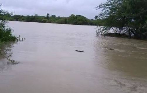 पालघर (Palghar) जिल्ह्यात काल सकाळपासून जोरदार पाऊस कोसळत आहे.