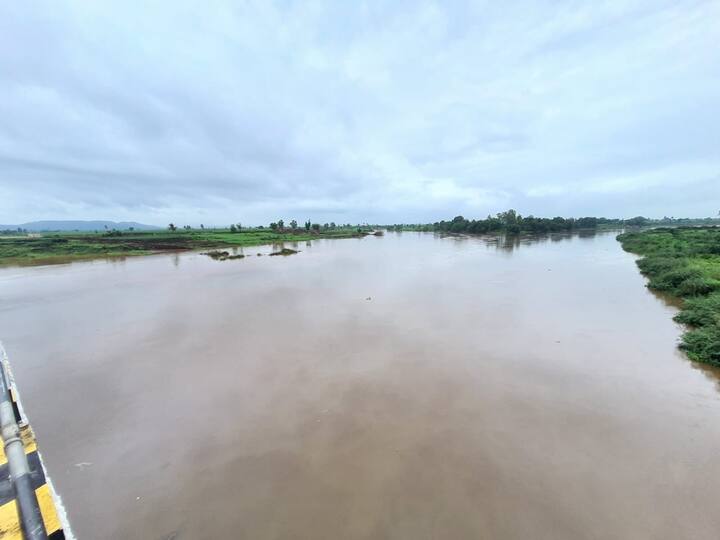 मिरज, कवठेमहांकाळ, तासगाव आणि जत तालुक्याला वरदान ठरणार्या चांदोली धरणात पाणीसाठा 50 टक्के झाला आहे.