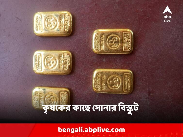 basirhat gold biscuit rescued from a farmer Basirhat: চাষ সেরে ফেরার পথেই পাকড়াও, কৃষকের কাছ থেকে উদ্ধার সোনার বিস্কুট