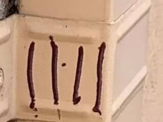 Viral News: ਘਰ ਦੇ ਬਾਹਰ ਦਿਖੇ ਰਹੱਸਮਈ ਨਿਸ਼ਾਨ, ਮਤਲਬ ਜਾਣ ਕੇ ਡਰ ਨਾਲ ਕੰਬ ਗਈ ਔਰਤ! ਲੋਕਾਂ ਨੇ ਘਰ ਬੰਦ ਕਰਨ ਦੀ ਦਿੱਤੀ ਸਲਾਹ