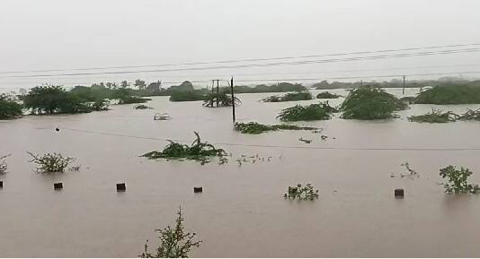 Balagam in Junagadh district was filled with rain water Gujarat Rain: 20 હજારની વસ્તી ધરાવતું ઘેડનું આ ગામ બન્યું સંપર્ક વિહોણું,ચારેકોર ફરી વળ્યા વરસાદી પાણી