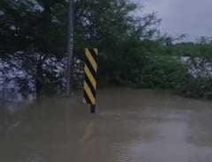 Palghar : पालघर जिल्ह्यात मुसळधार पाऊस, कंक्राडी नदीला पूर; पाहा फोटो