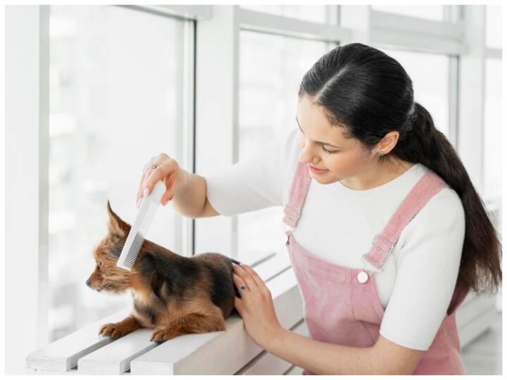 Career as a pet groomer how to make career in pet grooming education institutes earning Career Options: जानवरों से है प्यार तो Pet Grooming में बनाएं करियर, ऐसे करें इस फील्ड में एंट्री