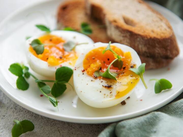 खाना पकाने वक्त गलतियां होना आम बात है. लेकिन हमें यह जरूर मालूम होना चाहिए कि गलती को दोबारा होने से कैसे रोका जाए. आज हम आपको कुछ ऐसी गलतियों के बारे में बताएंगे, जो लोग अक्सर अंडे की डिश बनाते वक्त करते नजर आते हैं.