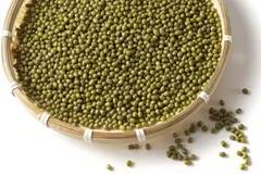 Green Moong Benefits: हिरव्या मुगाचे 'हे' आहेत फायदे, जाणून घेतल्यावर तुम्ही देखील कराला हिरव्या मुगाचा आहारात समावेश