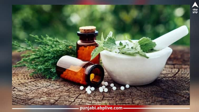 After all, how does homeopathic medicine work? No side effect,Know  reality ਆਖਰ ਕਿਵੇਂ ਕੰਮ ਕਰਦੀ ਹੋਮਿਓਪੈਥਿਕ ਦਵਾਈ? ਕੋਈ ਸਾਈਡ ਇਫੈਕਟ ਨਹੀਂ...ਜਾਣੋ ਪੂਰੀ ਹਕੀਕਤ