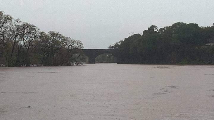 गुरुवारी (20 जुलै) सायंकाळी चारपर्यंत पंचगंगेची पाणी पातळी 33 फुटांवर पोहोचली आहे.