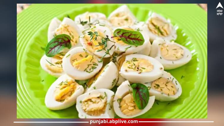 Keep these 5 things in mind while preparing dishes related to eggs ਅੰਡੇ ਨਾਲ ਸਬੰਧਤ ਪਕਵਾਨ ਬਣਾਉਂਦੇ ਸਮੇਂ ਇਨ੍ਹਾਂ 5 ਗੱਲਾਂ ਦਾ ਰੱਖੋ ਧਿਆਨ, ਨਹੀਂ ਤਾਂ ਤੁਹਾਡੀ ਸਿਹਤ 'ਤੇ ਪਵੇਗਾ ਬੁਰਾ ਅਸਰ