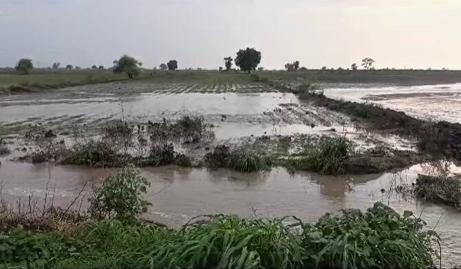 Amravati Sheti Nuksan due to heavy rain maharashtra weather update Amravati Cloudburst Amravati News Amravati Rain : बळीराजा संकटात! अमरावती जिल्ह्यात काही गावात ढगफुटी सदृश्य पाऊस, शेतीचं अतोनात नुकसान