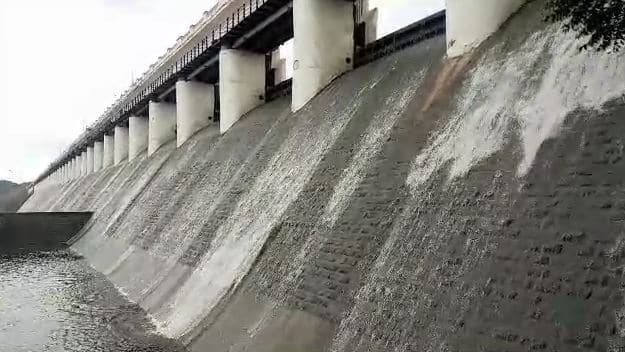 Gujarat Rain: Ahead of Palitana's Shetrunji Dam overflowing Gujarat Rain: સૌરાષ્ટ્રનો સૌથી મોટો પાલીતાણા શેત્રુંજી ડેમ છલકાવાની તૈયારીમાં, નીચાણવાળા ગામોને કરાયા એલર્ટ