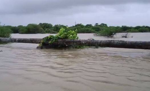 Rain : राज्याच्या विविध भागात पावसाची हजेरी