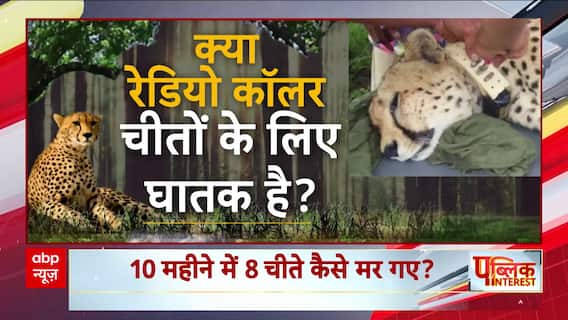 Public Interest Ep5: कूनो नेशनल पार्क में अचानक चीतों की क्यों हो रही मौत? | Kuno Tiger Death