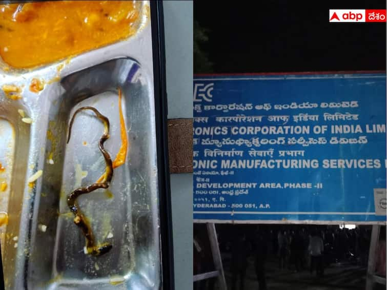 Baby snake found in curry at ECIL canteen hyderabad ECIL Canteen: సిబ్బంది నిర్లక్ష్యం, ఈసీఐఎల్ క్యాంటీన్ పప్పులో పాము పిల్ల- అక్కడ ఇది మామూలేనట!