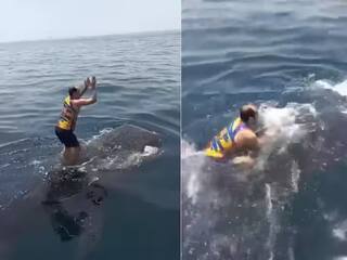 Viral Video: ਵਿਅਕਤੀ ਨੇ ਸਮੁੰਦਰ ਦੇ ਵਿਚਕਾਰ ਵ੍ਹੇਲ ਮੱਛੀ 'ਤੇ ਮਾਰੀ ਛਾਲ, ਕਰਨ ਲੱਗਾ ਡਾਂਸ ਅਤੇ ਫਿਰ..., ਦੇਖੋ ਵੀਡੀਓ