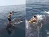Viral Video: ਵਿਅਕਤੀ ਨੇ ਸਮੁੰਦਰ ਦੇ ਵਿਚਕਾਰ ਵ੍ਹੇਲ ਮੱਛੀ 'ਤੇ ਮਾਰੀ ਛਾਲ, ਕਰਨ ਲੱਗਾ ਡਾਂਸ ਅਤੇ ਫਿਰ..., ਦੇਖੋ ਵੀਡੀਓ