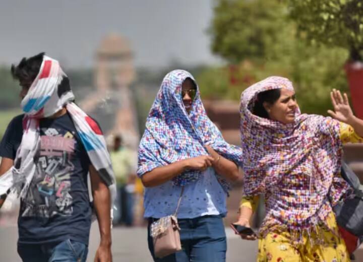 बीते सैकड़ों सालों में जुलाई है अबतक का सबसे गर्म महीना, चिंतित हैं नासा के वैज्ञानिक बीते सैकड़ों सालों में जुलाई है अबतक का सबसे गर्म महीना, चिंतित हैं नासा के वैज्ञानिक