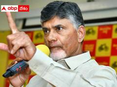 ప్రశ్నిస్తే పరువు నష్టం కేసు పెట్టేస్తారా ? -  పవన్‌కు మద్దతుగా చంద్రబాబు
