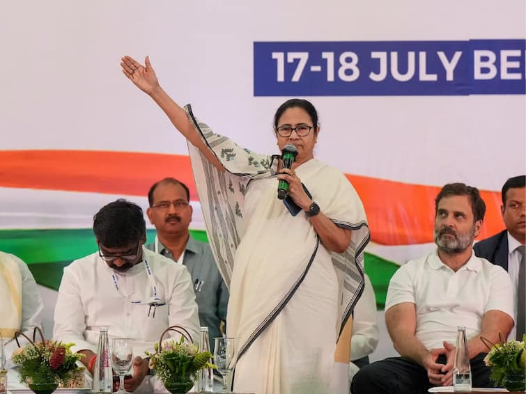 'Just Want...': Bengal CM Mamata Banerjee Says She Is Not Interested In PM Post 'Just Want...': Bengal CM Mamata Banerjee Says She Is Not Interested In PM Post