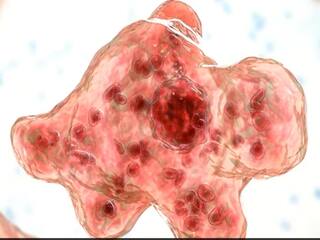Brain Eating Amoeba: மூளையை உண்ணும் அரிய வகை அமீபா- அமெரிக்காவில் 2 வயதுக் குழந்தை உயிரிழந்த சோகம்..!