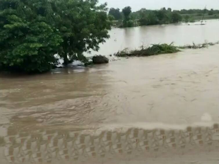 Heavy rains in Hingoli districts flood in Ughada river a lot of  Water in farm land Hingoli Rain Update : हिंगोली जिल्ह्यांमध्ये सर्वदूर जोरदार पाऊस, उघडा नदीला पूर; शेतात पाणीच पाणी