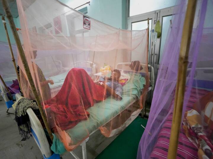 Rajkot Dengue: viral fever and dengue case increased in rajkot at last five day over rain stops Dengue: આ મોટા શહેરમાં ડેન્ગ્યૂની શરૂઆત, સાથે-સાથે શરદી-તાવના દર્દીઓમાં પણ વધારો