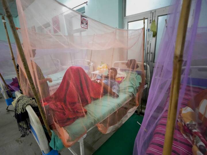 Maharashtra dengue case Between July 1 and 16 264 patients were infected in Mumbai know ways to avoid illness Maharashtra Dengue Case: महाराष्ट्र में भारी बारिश के बीच अब डेंगू का 'कहर', मिले इतने केस, बीमारी से बचना है तो करें ये काम