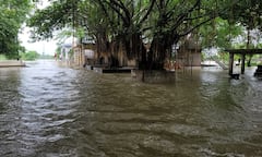 Weather Update: राज्यातील 'या' 5 जिल्ह्यांमध्ये आज मुसळधार पाऊस; घराच्या बाहेर पडण्याआधी पाहा तुमच्या भागातील स्थिती