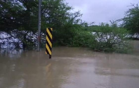 राज्याच्या विविध भागात मुसळधार पावसानं (Heavy rain) हजेरी लावली आहे. या पावसामुळं काही ठिकाणी जणजीवन विस्कळीत झालं आहे.