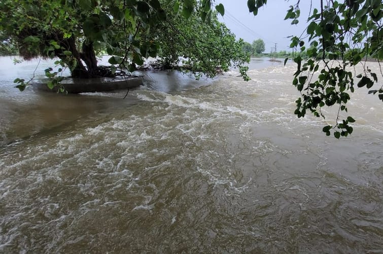 Heavy Rain in khambhaliya Devbhumi Dwarka Devbhumi Dwarka: 12 ઈંચ વરસાદમાં દ્વારકાનગરી જળબંબાકાર, ખંભાળિયાના મુખ્ય માર્ગો પાણીમાં ગરકાવ 