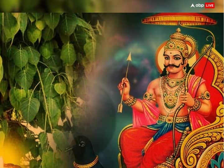 शनि की साढ़ेसाती की अवधि में बेवजह के वाद-विवाद से बचें, क्योंकि ये व्यक्ति पर हावी होते हैं और इससे उसके रिश्ते और धन पर बुरा असर पड़ता है.