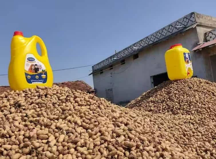 Groundnut oil prices surge in the month of Shravan price of a can reaches close to 3100 Groundnut Oil Price: અધિક શ્રાવણ મહિનામાં સિંગતેલના ભાવમાં ભડકો, ડબ્બાનો ભાવ પહોંચ્યો 3100 નજીક
