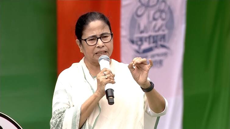 CM Mamata Banerjee Makes Scathing Attack On BJP About Due Money In Various Schemed On TMC Shahid Diwas 2023 TMC 21 July:'এখান থেকে বসে বলবে, বাংলাকে ভাতে মারো', শহিদ দিবসের মঞ্চ থেকে বিজেপিকে তীব্র আক্রমণ  তৃণমূলনেত্রীর