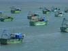 15 Rameswaram Fishermen Released :ராமேஸ்வரம் மீனவர்கள் 15 பேரை நிபந்தனைகளுடன் விடுதலை செய்த இலங்கை அரசு...