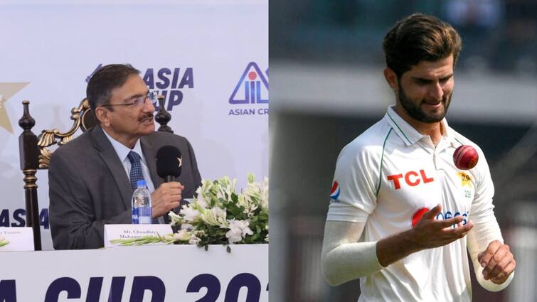 PCB chairman Zaka Ashraf calls Shaheen Shah Afridi one of the best batters by mistake Pakistan Cricket Team: বোলার নয়, শাহিনকে অন্যতম সেরা ব্যাটার বলে বসলেন পিসিবি প্রধান