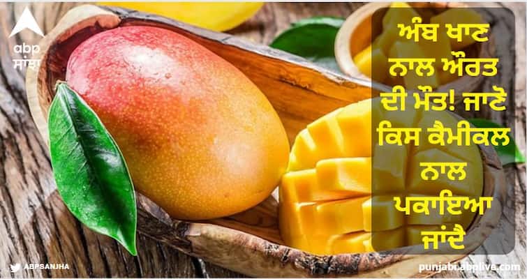 Woman died after eating mangoes! Know with which chemical it is cooked, can eating it also cause death ਅੰਬ ਖਾਣ ਨਾਲ ਔਰਤ ਦੀ ਮੌਤ! ਜਾਣੋ ਕਿਸ ਕੈਮੀਕਲ ਨਾਲ ਪਕਾਇਆ ਜਾਂਦੈ, ਕੀ ਇਸ ਨੂੰ ਖਾਣ ਨਾਲ ਮੌਤ ਵੀ ਹੋ ਸਕਦੀ ਹੈ?