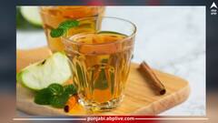 Mint and Ginger Iced Tea: ਬਦਲਦੇ ਮੌਸਮ 'ਚ ਜੇਕਰ ਤੁਸੀਂ ਆਪਣੇ ਆਪ ਨੂੰ ਰੱਖਣਾ ਚਾਹੁੰਦੇ ਹੋ ਹਰ ਬਿਮਾਰੀ ਤੋਂ ਸੁਰੱਖਿਅਤ, ਤਾਂ ਇਸ ਡੀਟੌਕਸ ਡਰਿੰਕ ਨੂੰ ਜ਼ਰੂਰ ਅਜ਼ਮਾਓ