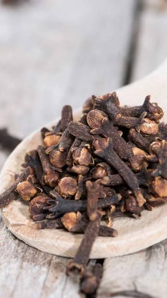 ਇਸ ਮਸਾਲੇ ਦੀ ਖੇਤੀ ਕਰਕੇ ਕਿਸਾਨ ਕਮਾ ਰਹੇ ਵੱਧ ਮੁਨਾਫ਼ਾ