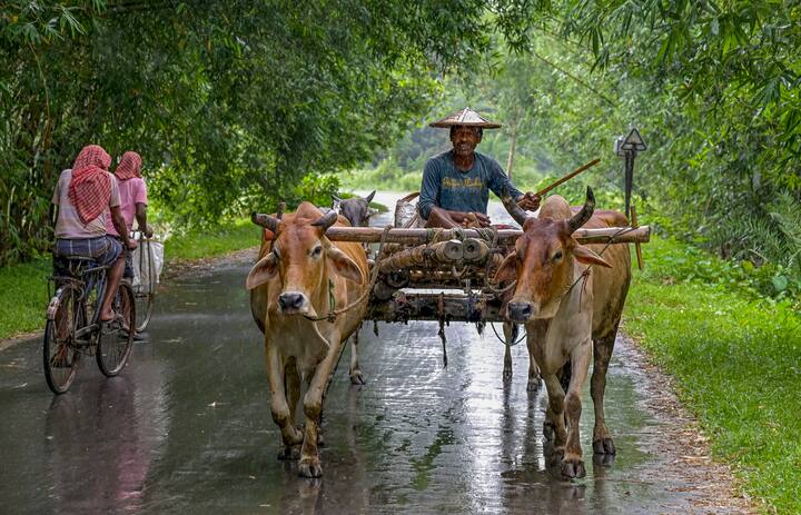 জলপাইগুড়ি, কোচবিহার ও আলিপুরদুয়ার এই তিন জেলায় বিক্ষিপ্ত ভাবে দু এক পশলা ভারী বৃষ্টির সম্ভাবনা রয়েছে।