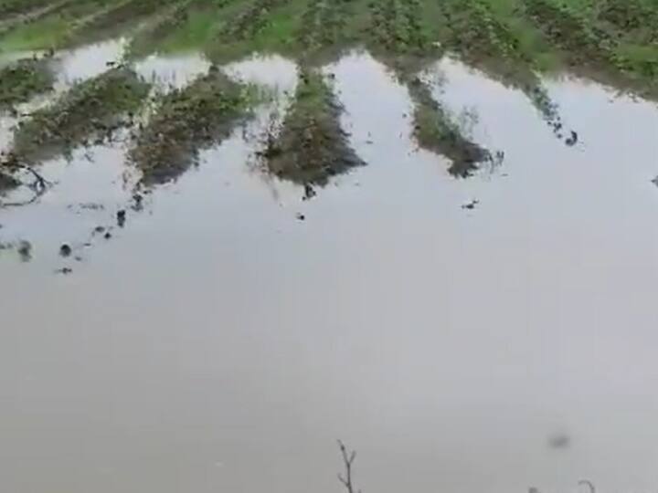 वर्ध्यात हवामान विभागाकडूनही अलर्ट जारी करण्यात आला आहे.