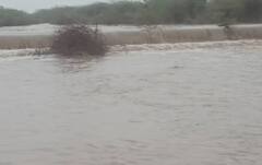 Gujarat Rain: เชญเชพเชตเชจเชเชฐเชจเชพ เช เชตเชฟเชธเซเชคเชพเชฐเชฎเชพเช เชฎเชพเชคเซเชฐ 3 เชเชฒเชพเชเชฎเชพเช 4 เชเชเช เชตเชฐเชธเชพเชฆ เชเชพเชฌเชเชคเชพ เชเชณเชฌเชเชฌเชพเชเชพเชฐ