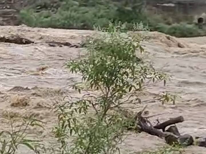 शेतात पाणी साचल्याने शेती पिकांचे मोठ्या प्रमाणावर नुकसान झाले आहे.