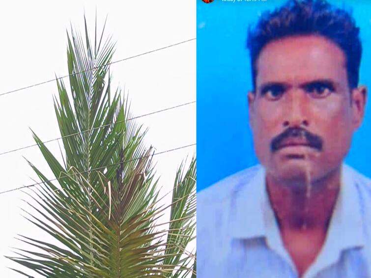 Villupuram Farmer dies due to electrocution due to negligence of electricity workers near Marakkanam Villupuram: மின்துறை ஊழியர்கள் அலட்சியத்தால் பறிபோன விவசாயி உயிர்... தொடரப்பட்ட வழக்கு! என்ன நடந்தது..?