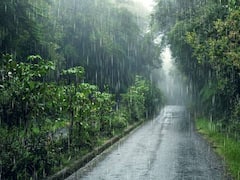 Berry Ice Cream:  मॉनसून में बढ़ जाता है इंफेक्शन का खतरा, इससे बचने के लिए घर में बनाएं यह खास रेसिपी